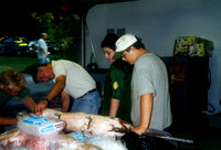 2002 Stakich Reunion-2