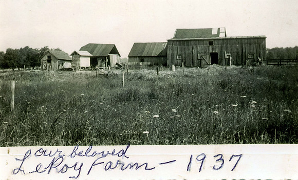 1937 Stakich Reunion-1