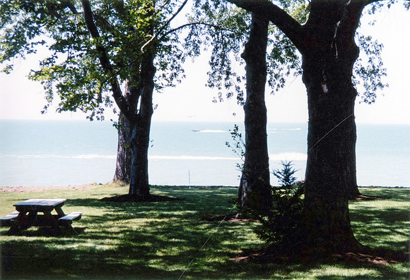 1996 Stakich Reunion-30